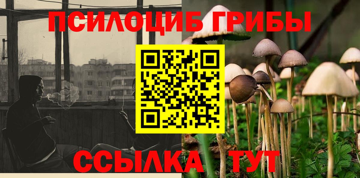 Мичуринск  Галлюциногенные грибы MAGIC MUSHROOMS  Вход с VPN 