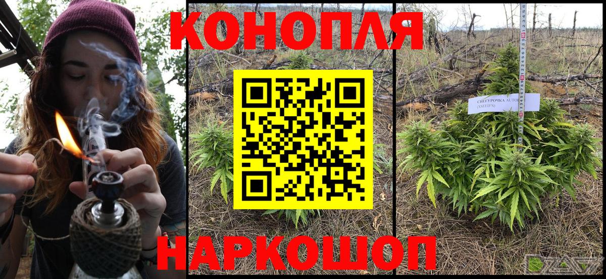 Каннабис SATIVA & INDICA Мичуринск